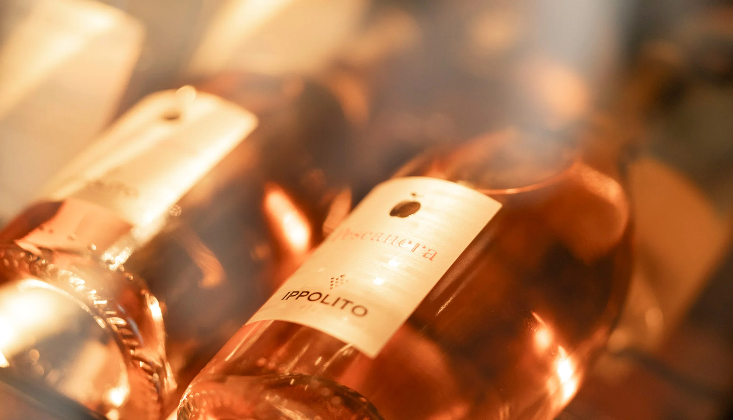 Selezione di vini